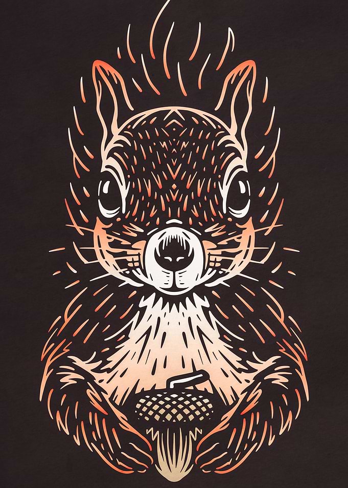 squirrel Forest Animal