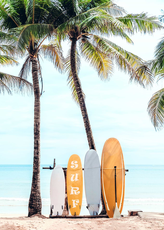 Choose Your Surfboard