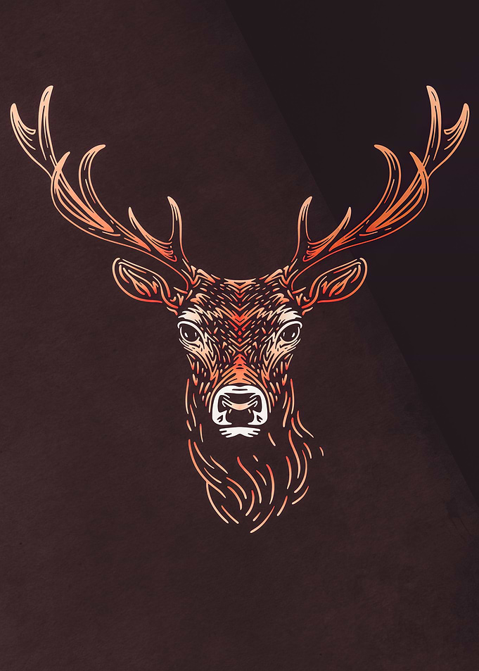 deer Forest Animal