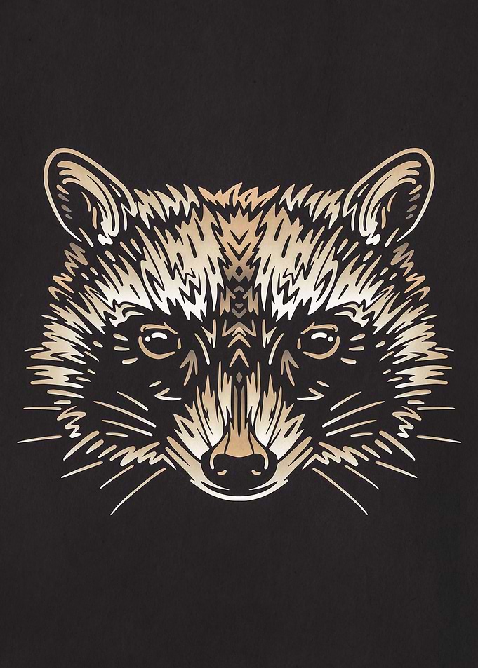 racoon Forest Animal