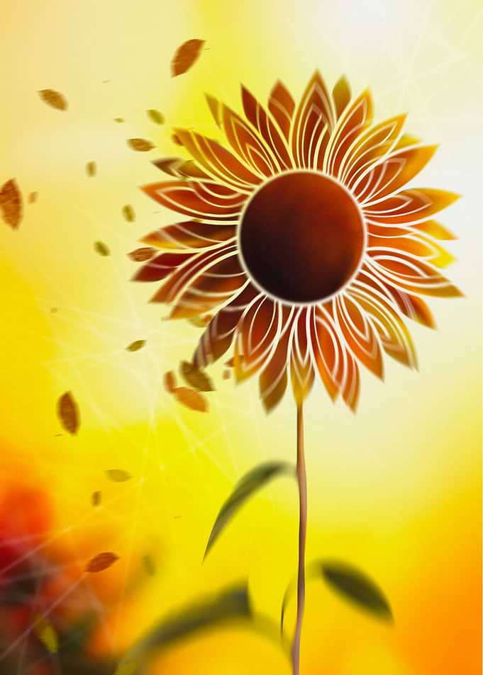 Late Summer