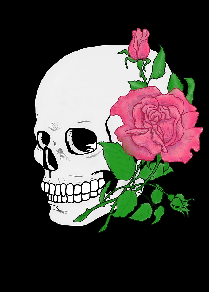 Skull Pop Art