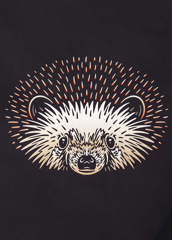 Hedgehog Forest Animal