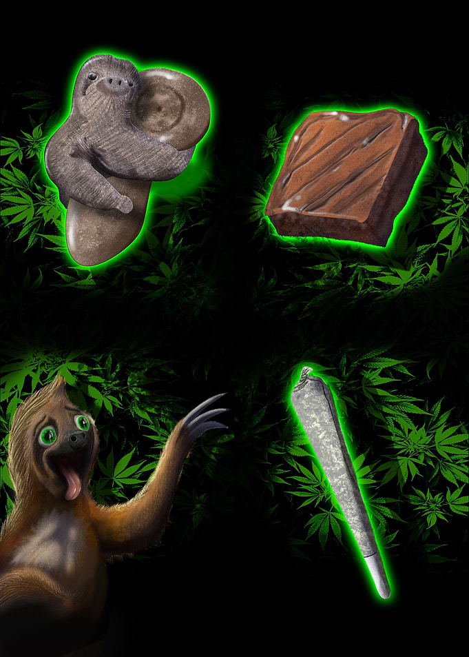 Happy Sloth