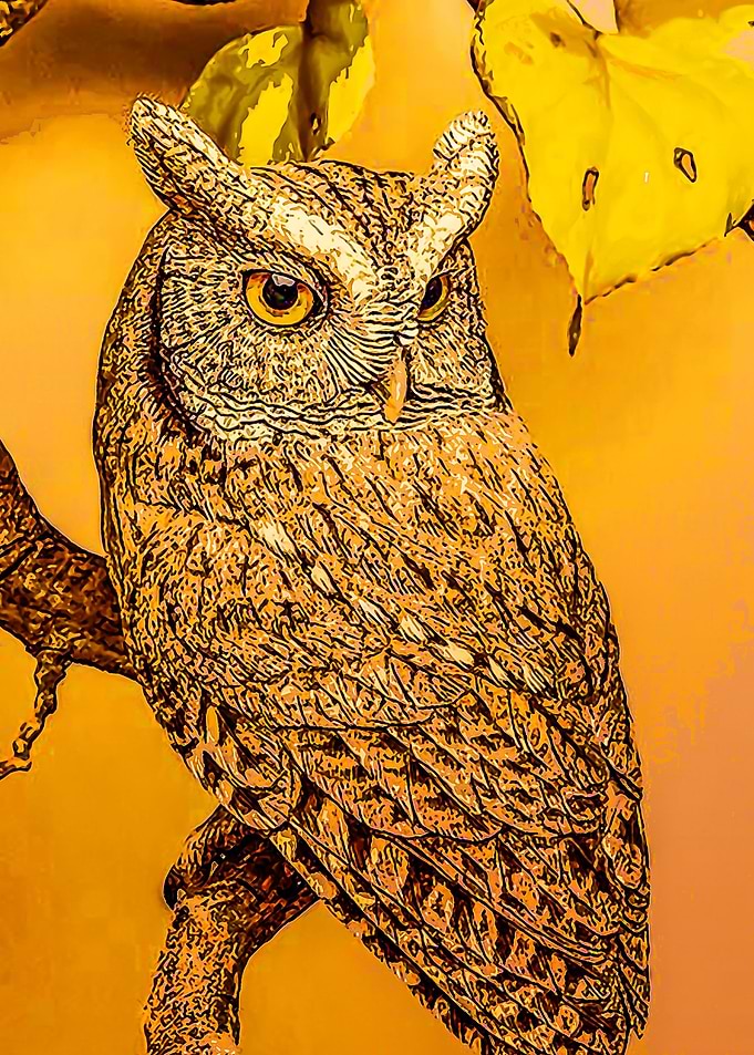 Animal 18