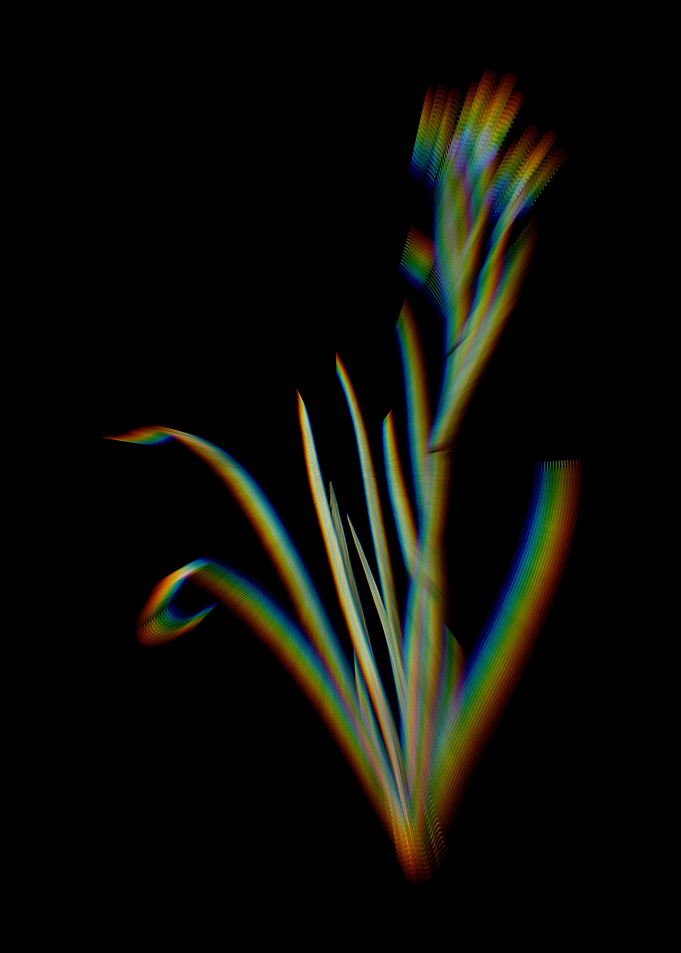 Prism Bermudiana