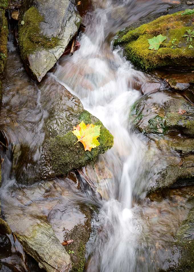 Sycamore Mountain Stream