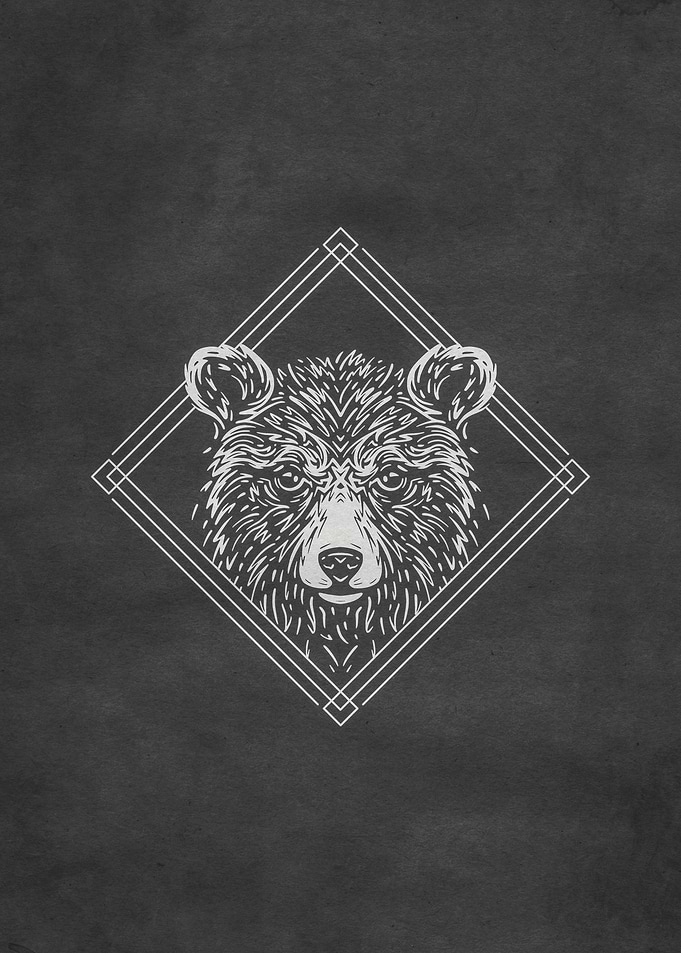 Bear Forest Animal