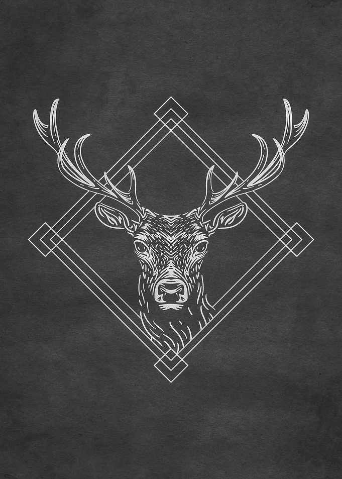 Deer Forest Animal