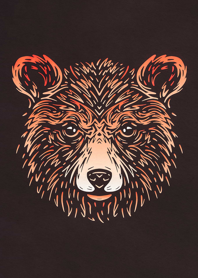 Bear Forest Animal
