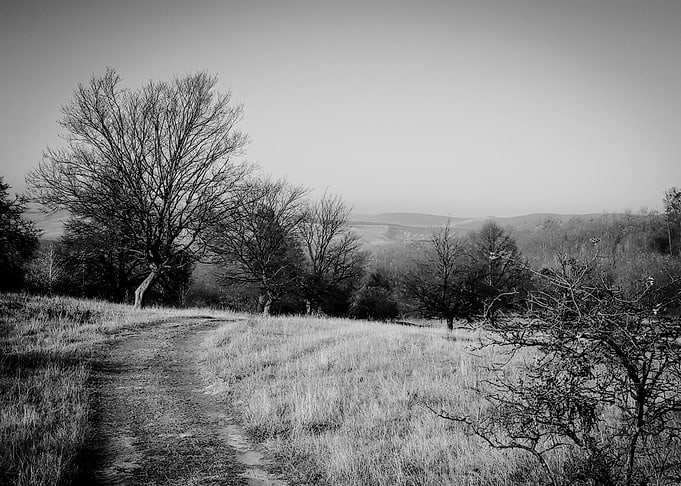 Nature