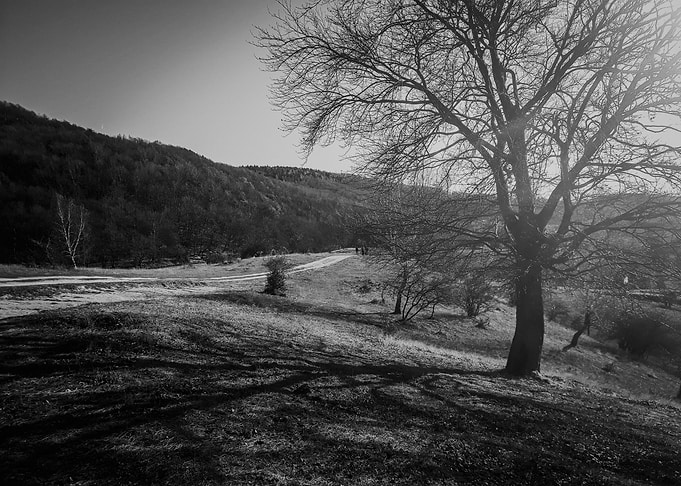At the tree shadow