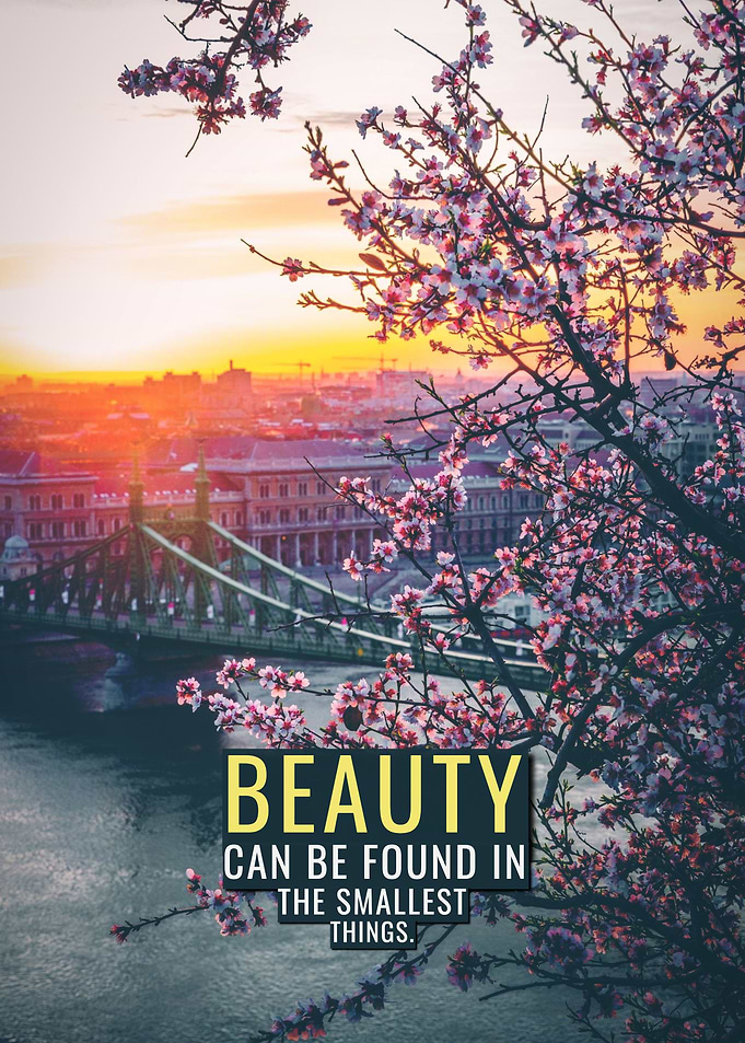 Beauty is Everywhere