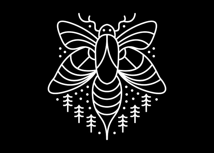 Firefly