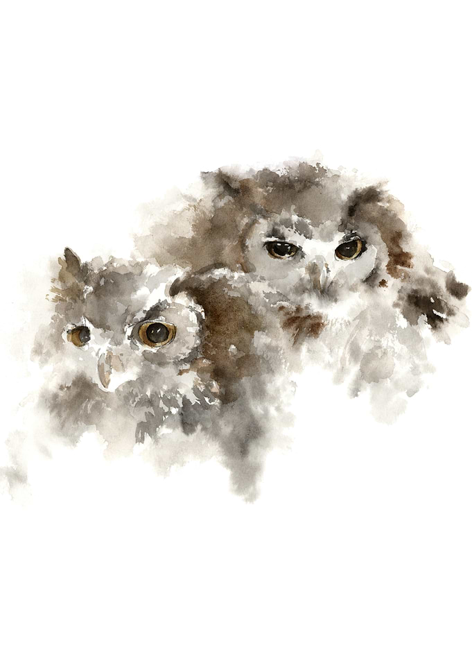 Owl watercolor abstract