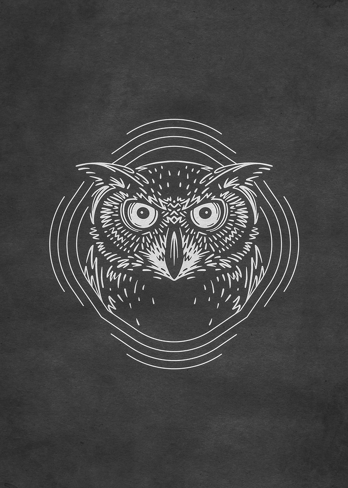 Owl Forest Animal