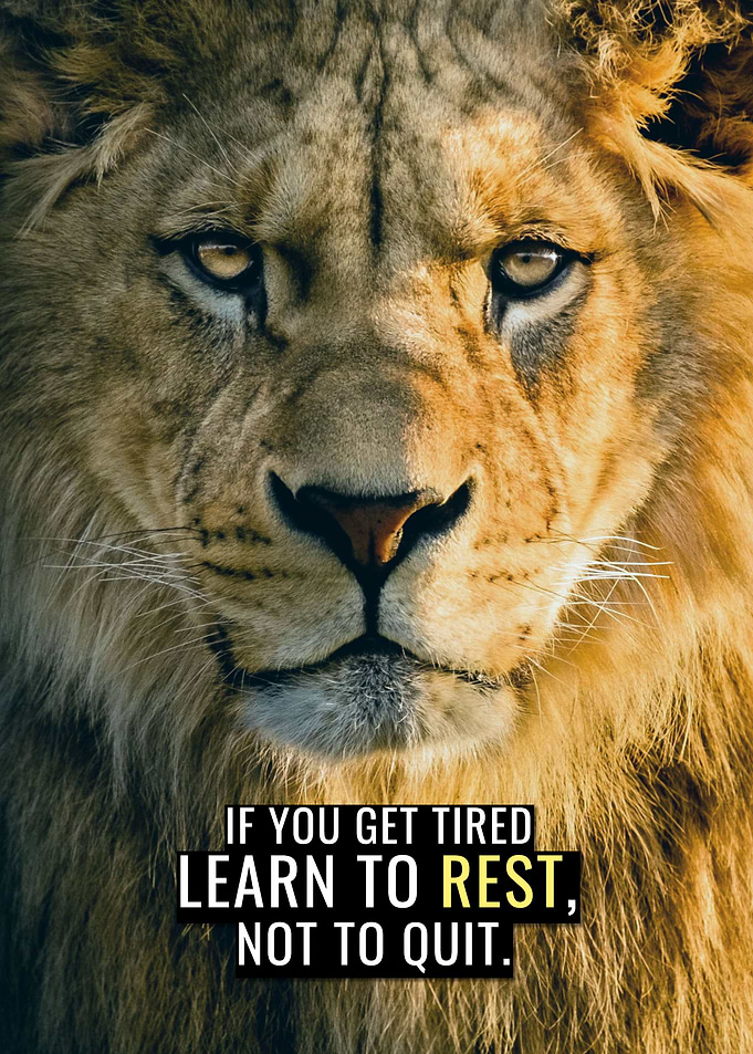 Learn to Rest