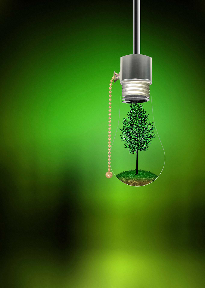 Tree in Hanging Bulb