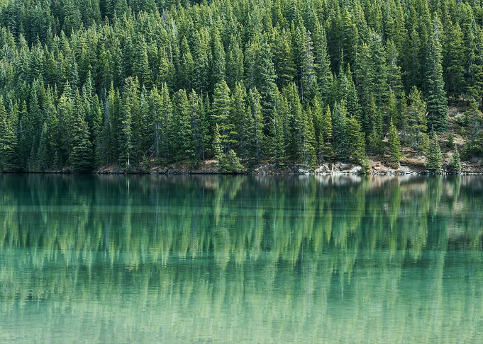Reflected