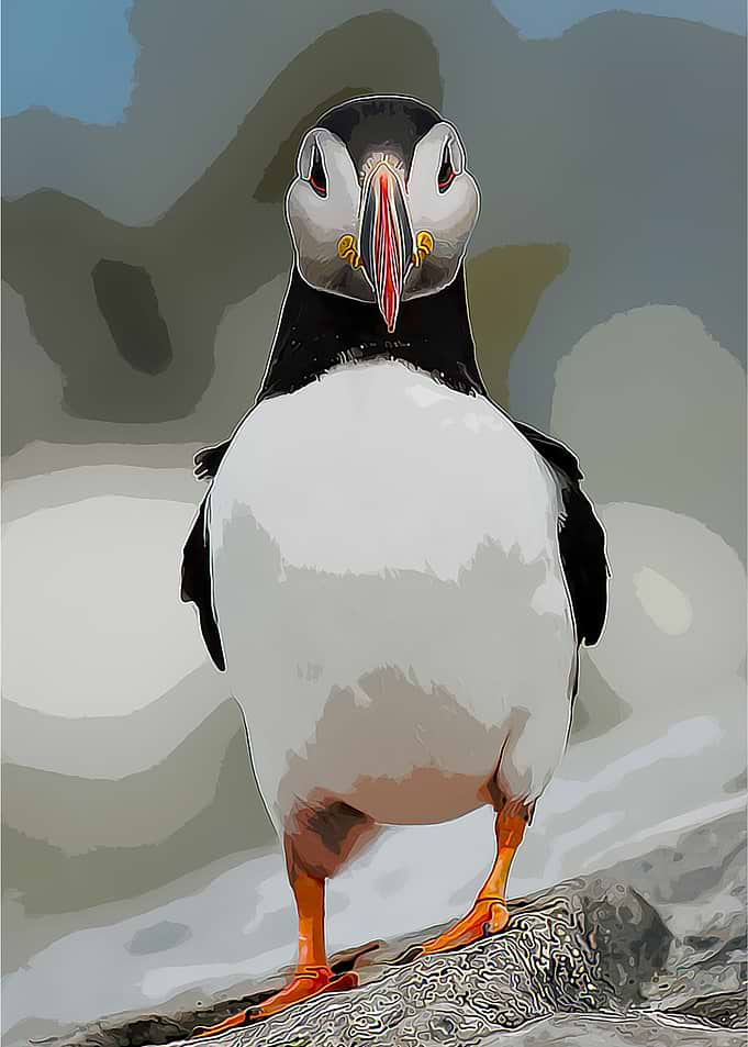 PENGUIN
