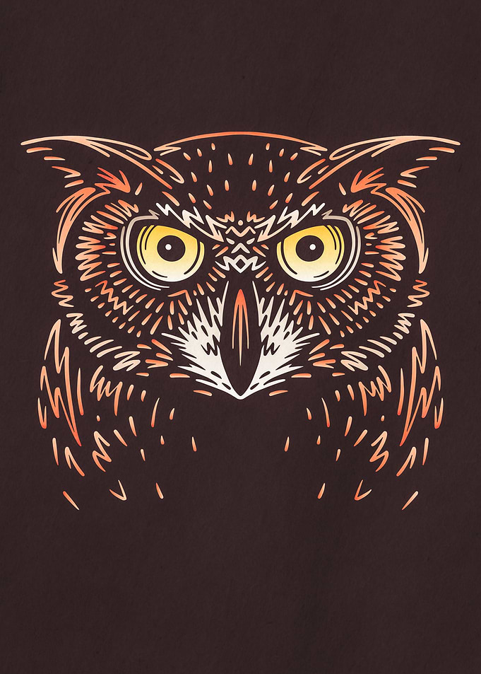 Owl Forest Animal