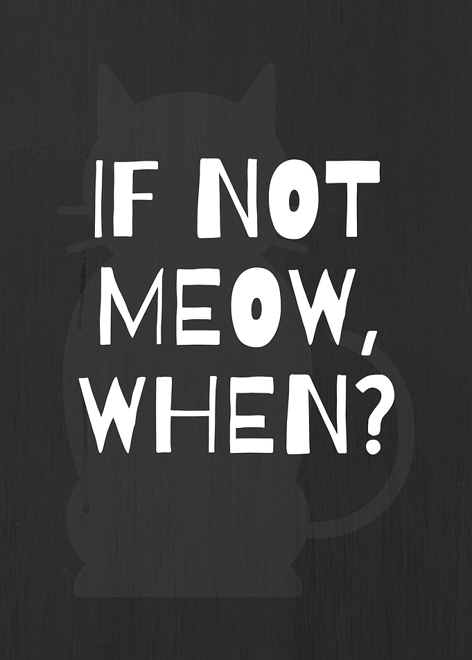 Cat poster quote