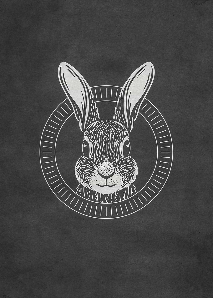 Rabbit Forest Animal