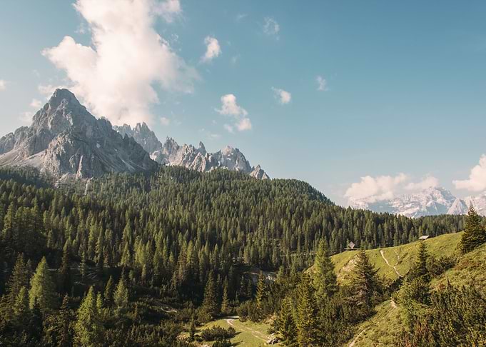Mixed Landscape