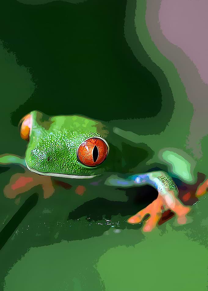 FROG ON LEAF