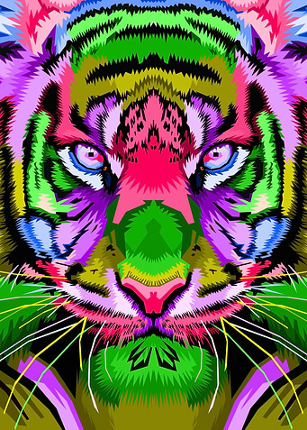 colorful tiger faces in po