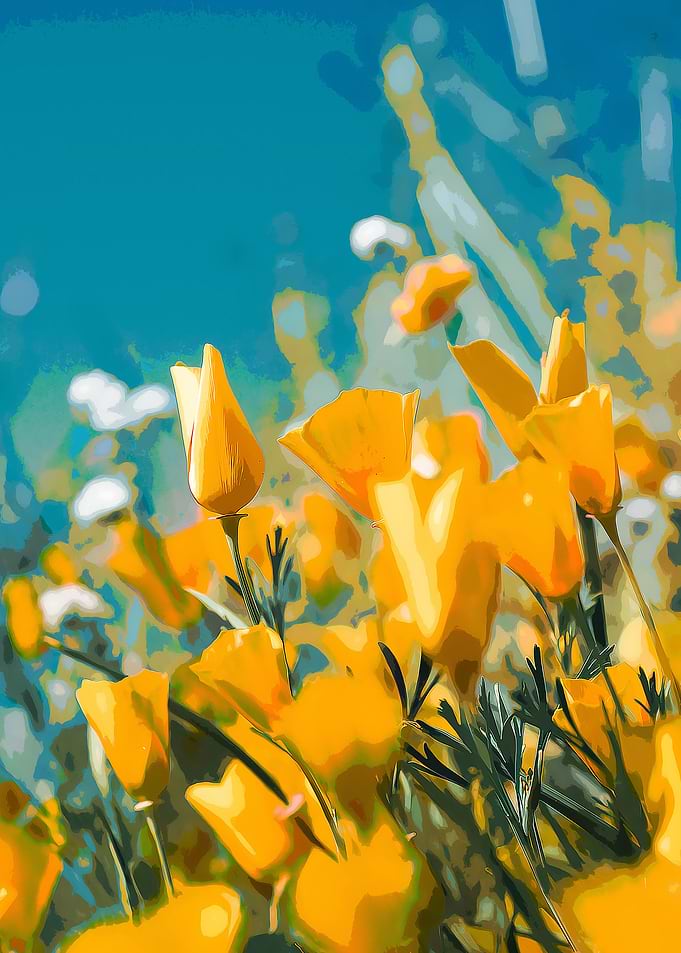 ORANGE FLOWER