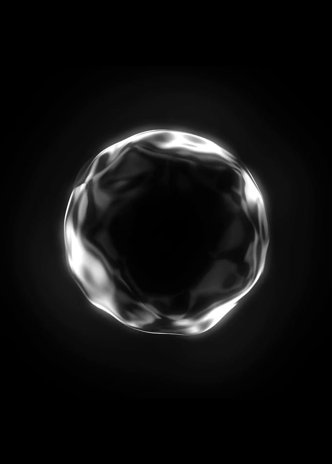 SV003