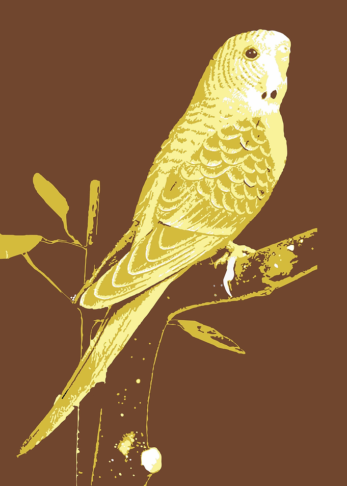 Parrots V13 Pop Art