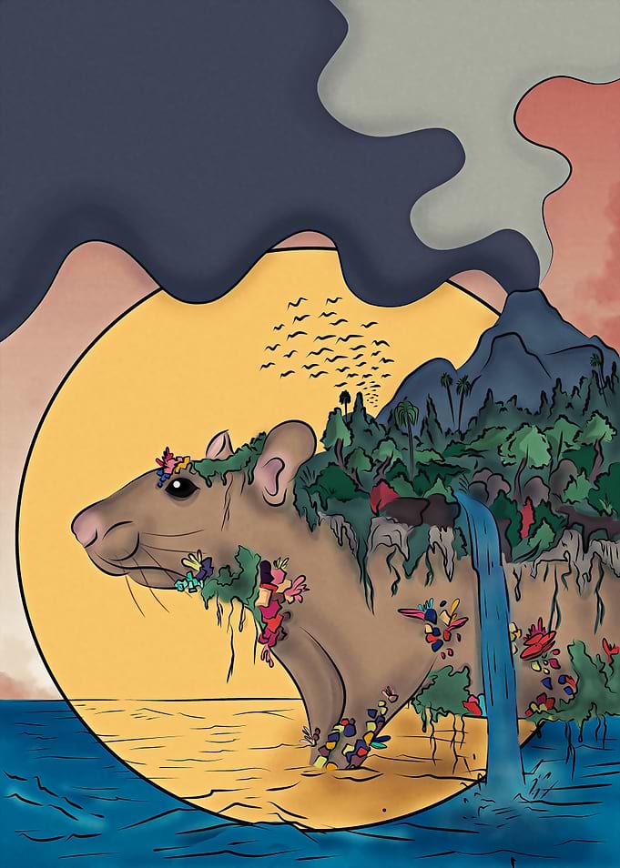 Rat Island