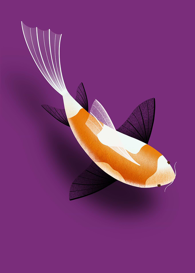 The magical fish