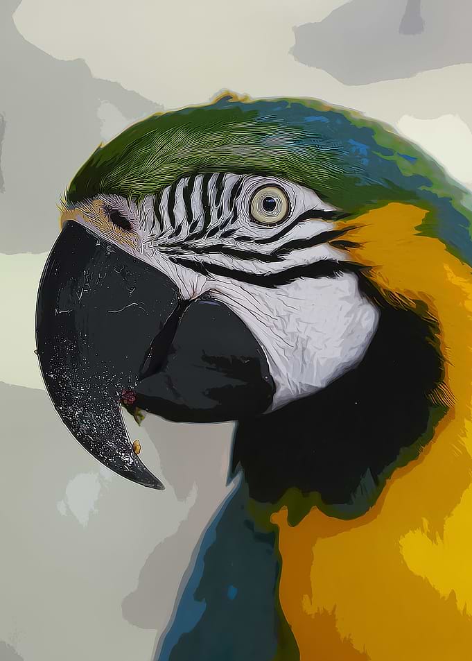 BLUE AND YELLOW MACAW BIRD