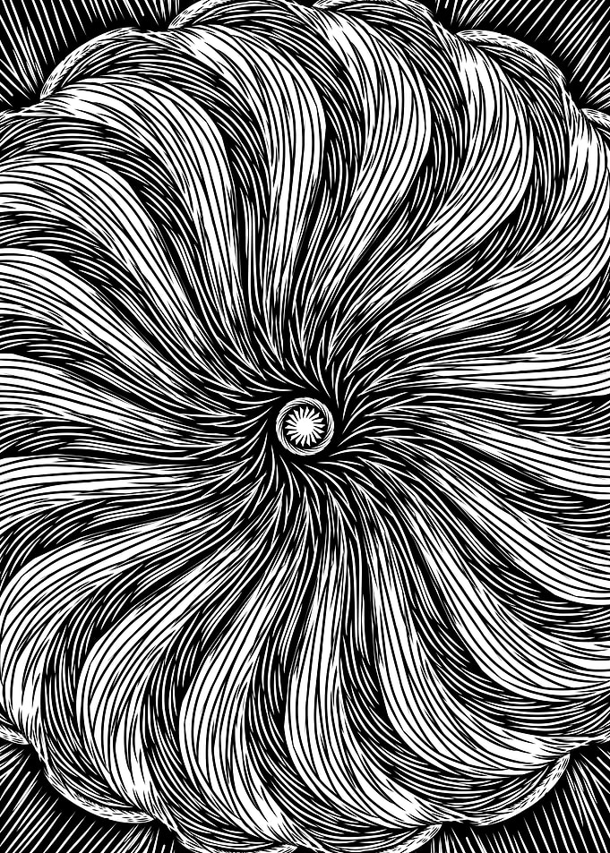illustration ornamenta art