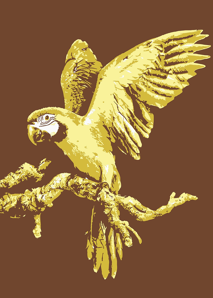 Parrots V15 Pop Art