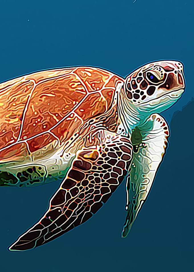 BROWN TURTLE SWIMMING