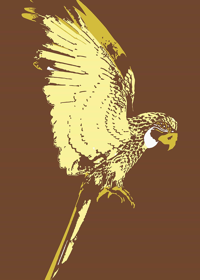Parrots V9 Pop Art