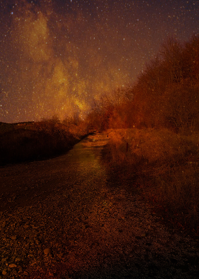Forest road