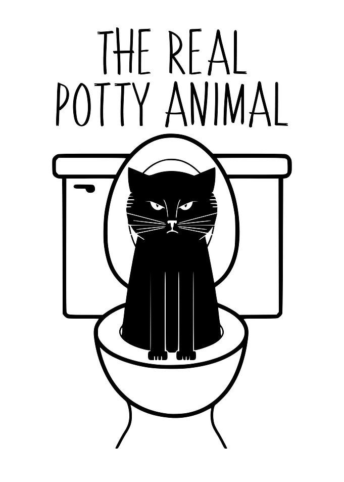 Funny Bathroom Black Cat