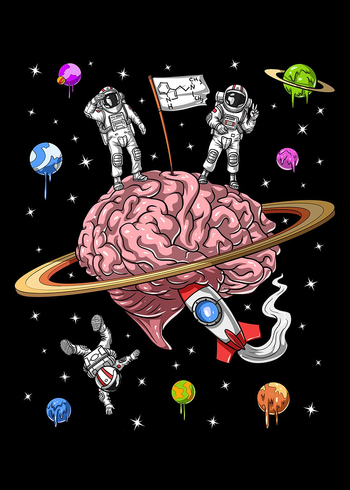 Psychedelic DMT Astronauts