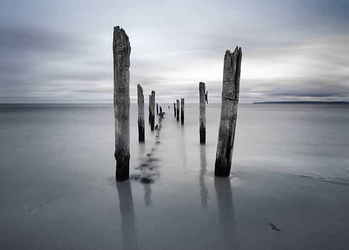 Wooden poles on the beach