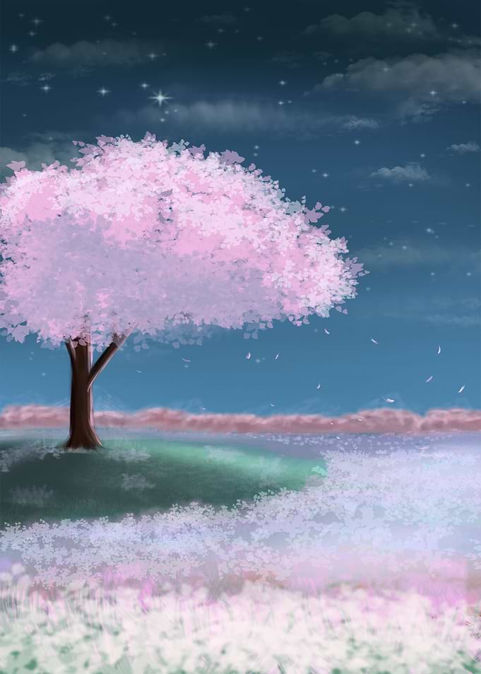 Cherry Blossom