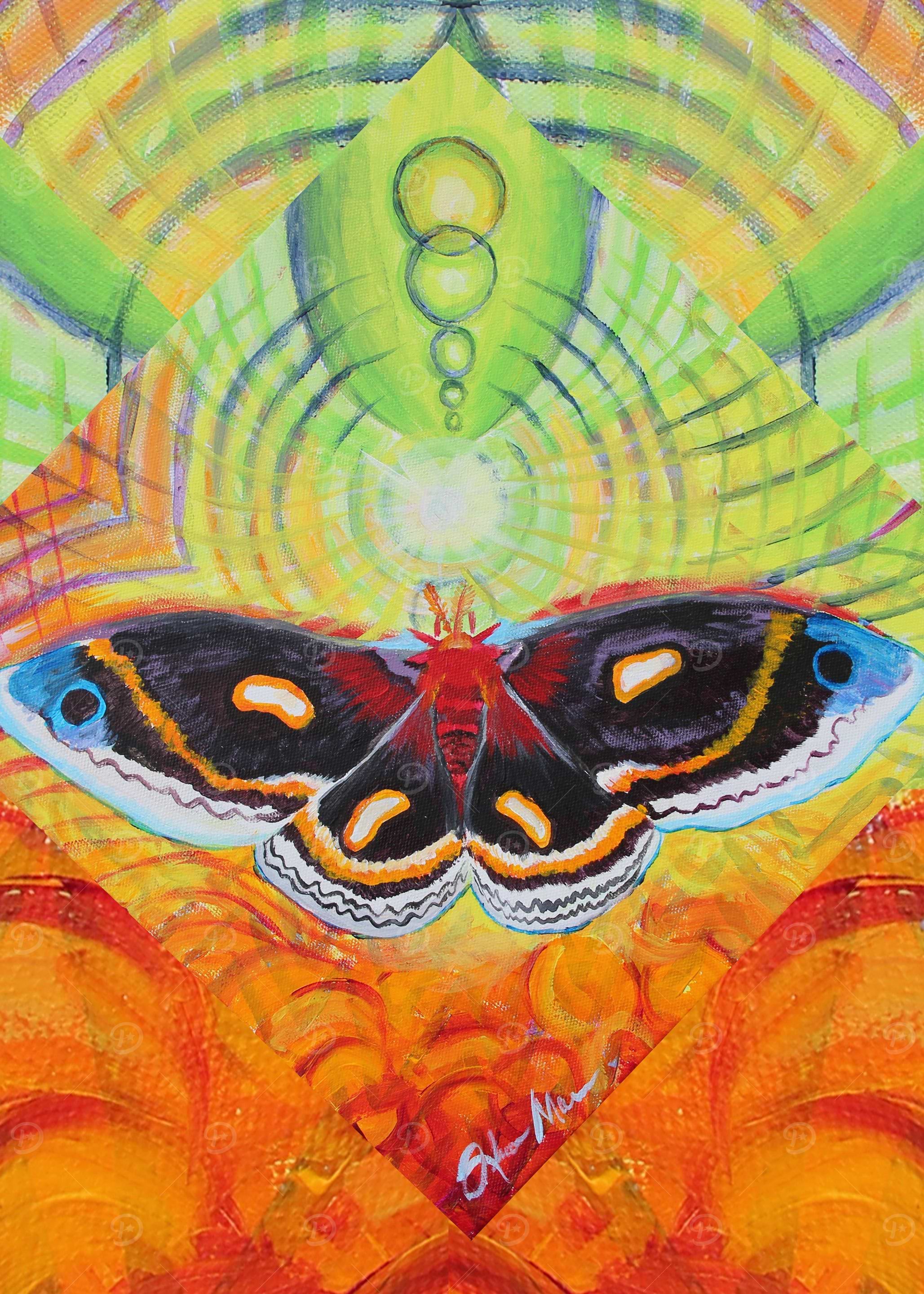 Cecropia Moth