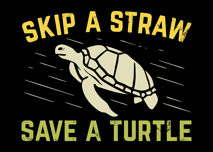 Turtle Design