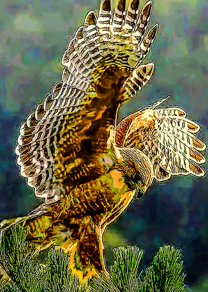 Animal 23