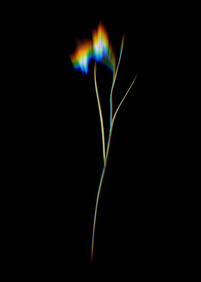 Prism Blue Pipe Flowers