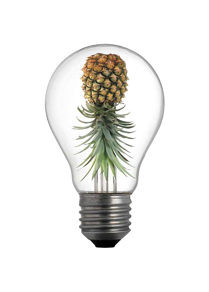 PineappleBulb